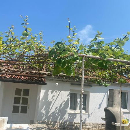 Appartamento Apartman Nela Porec Esterno foto